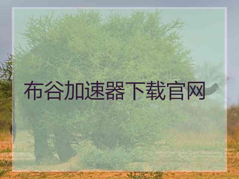 布谷加速器下载官网
