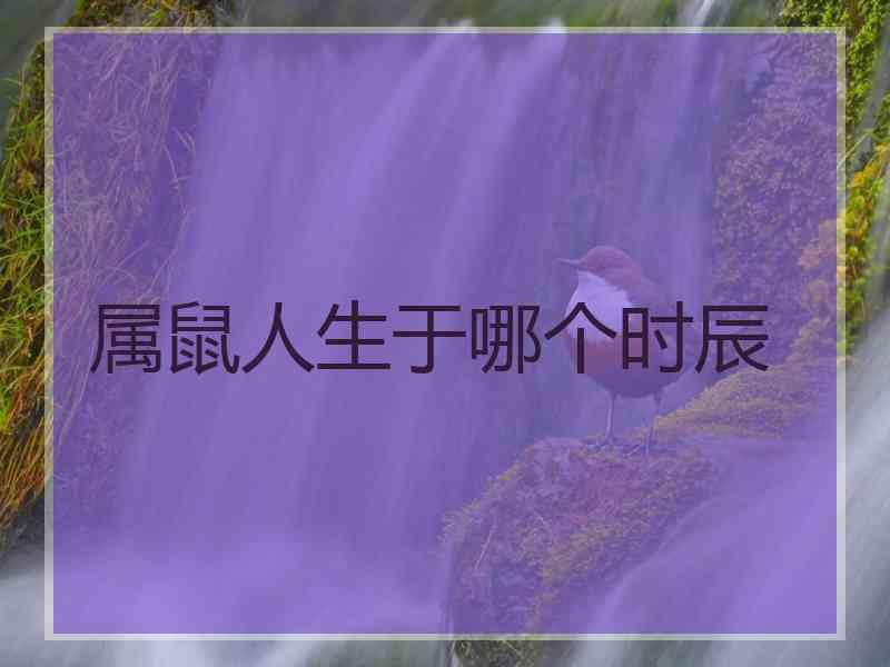 属鼠人生于哪个时辰