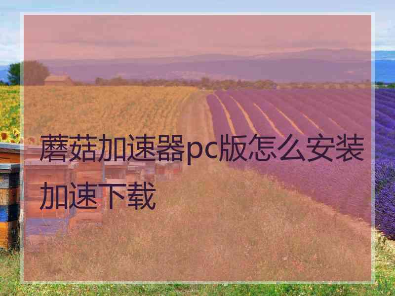 蘑菇加速器pc版怎么安装加速下载