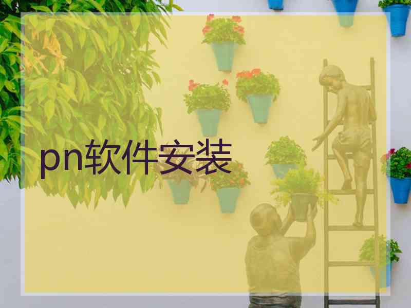 pn软件安装