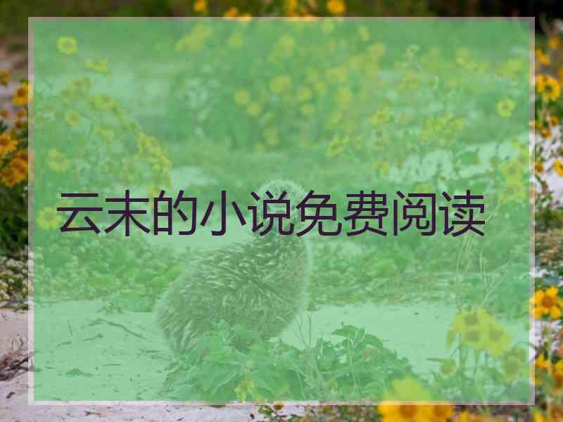 云末的小说免费阅读