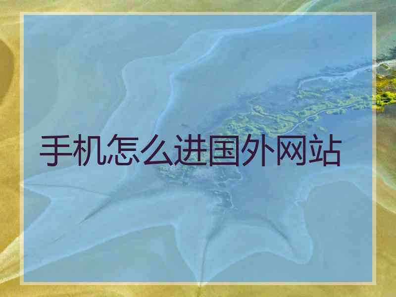 手机怎么进国外网站