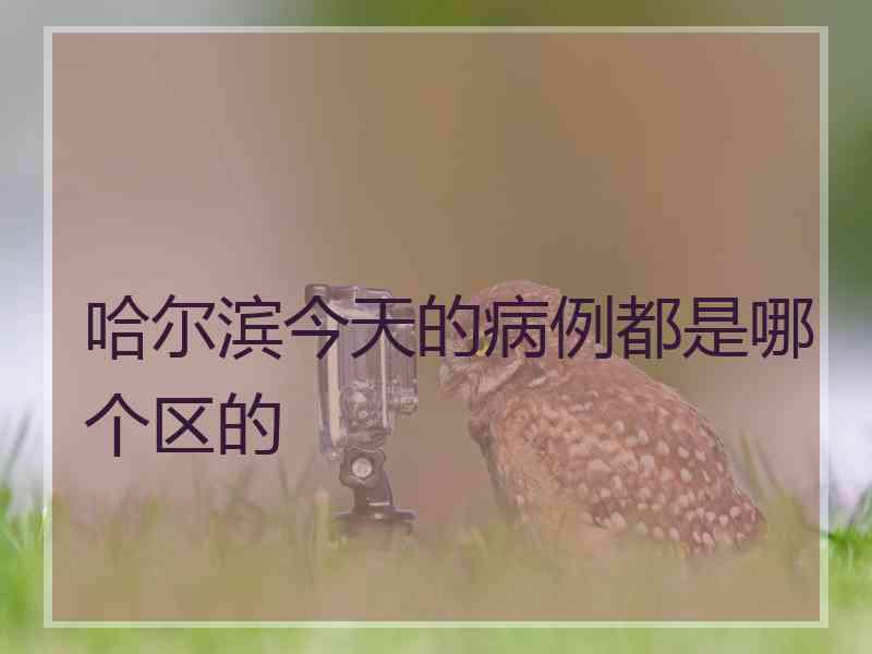 哈尔滨今天的病例都是哪个区的