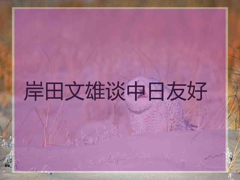 岸田文雄谈中日友好