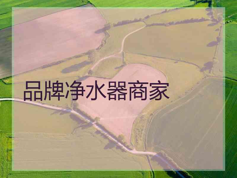 品牌净水器商家