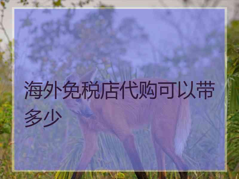 海外免税店代购可以带多少