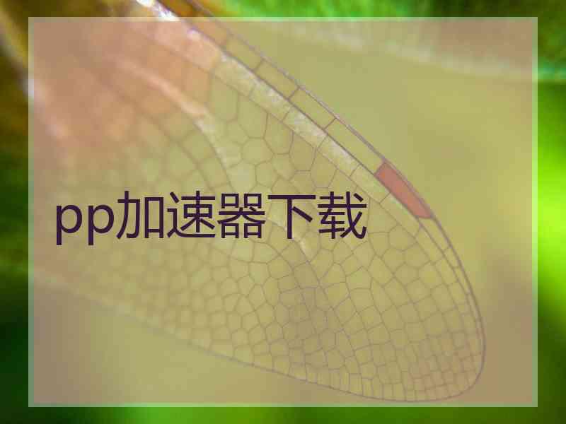 pp加速器下载