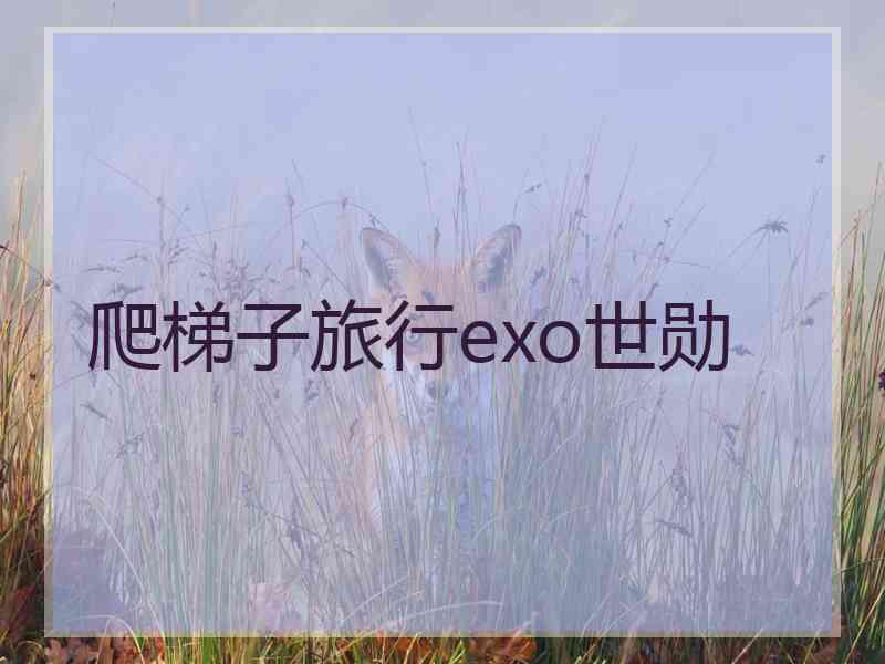 爬梯子旅行exo世勋