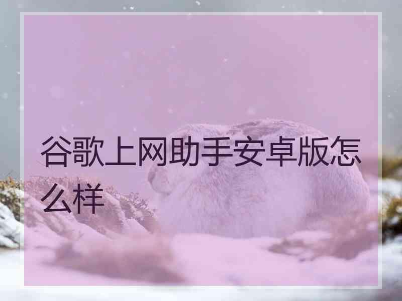 谷歌上网助手安卓版怎么样