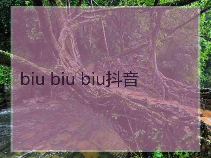 biu biu biu抖音