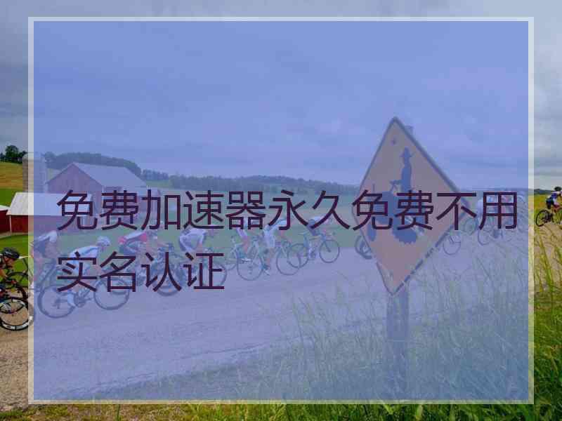 免费加速器永久免费不用实名认证