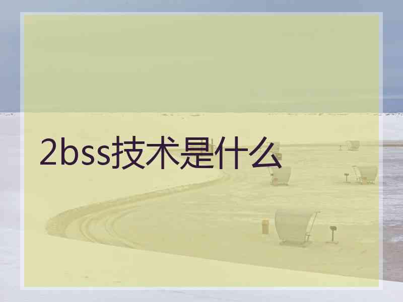 2bss技术是什么