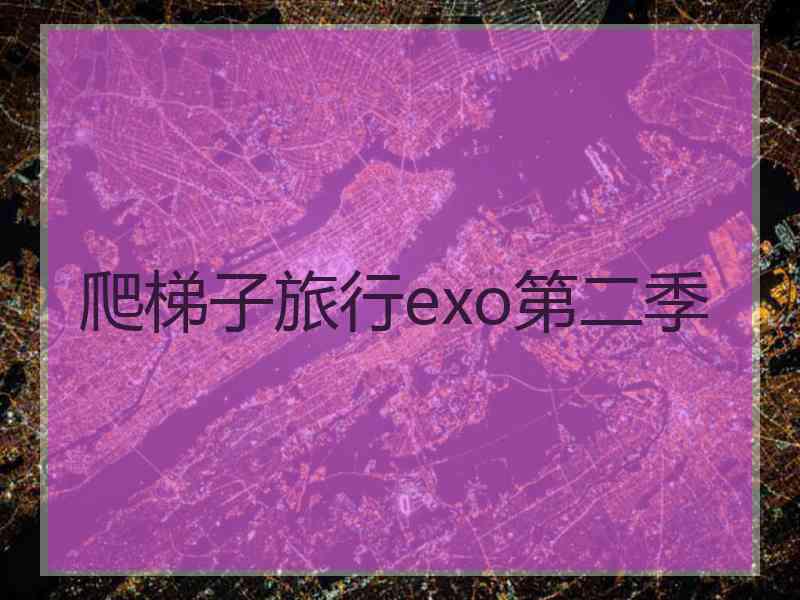 爬梯子旅行exo第二季
