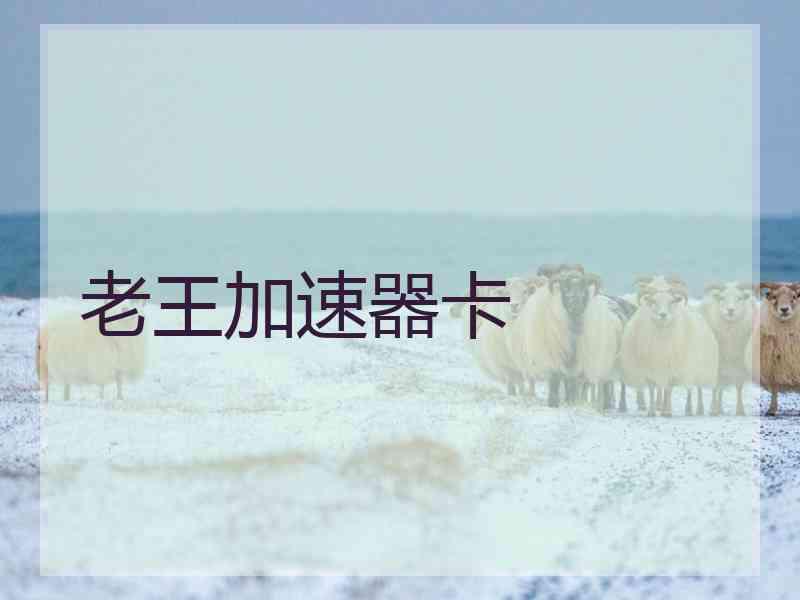 老王加速器卡