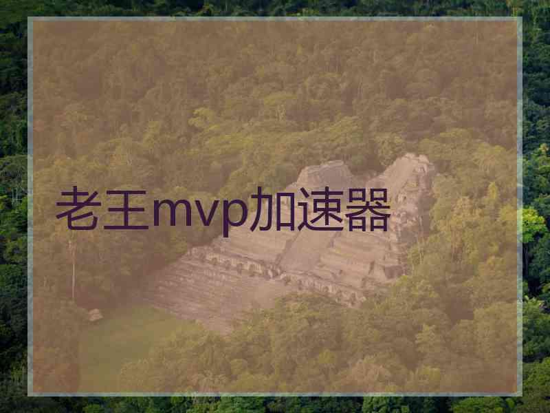 老王mvp加速器