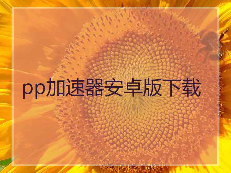 pp加速器安卓版下载