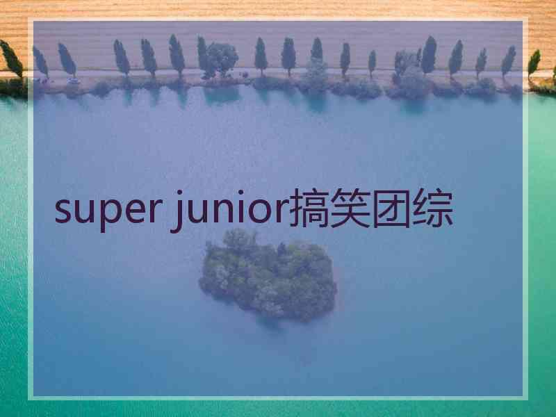 super junior搞笑团综