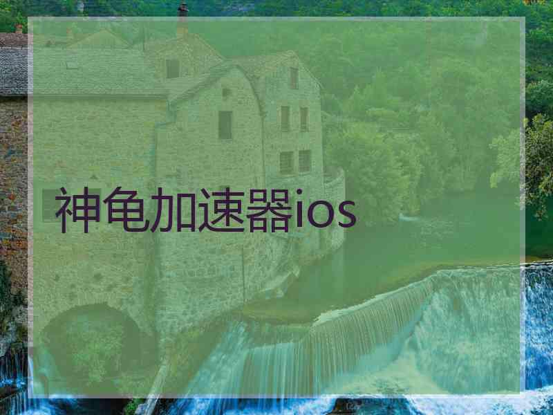 神龟加速器ios