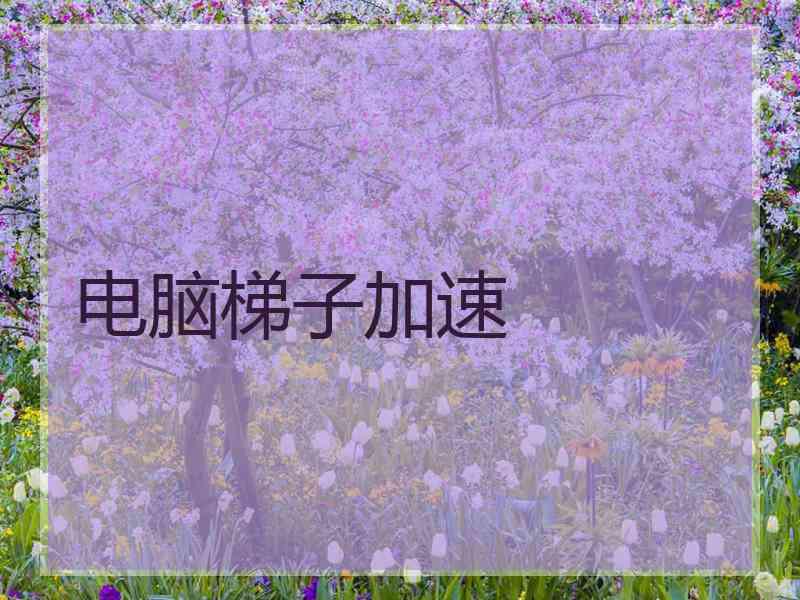 电脑梯子加速