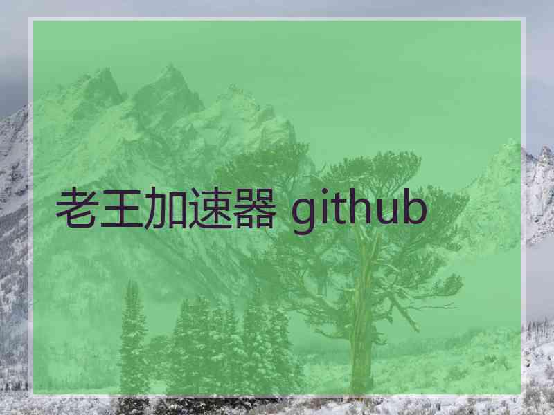 老王加速器 github