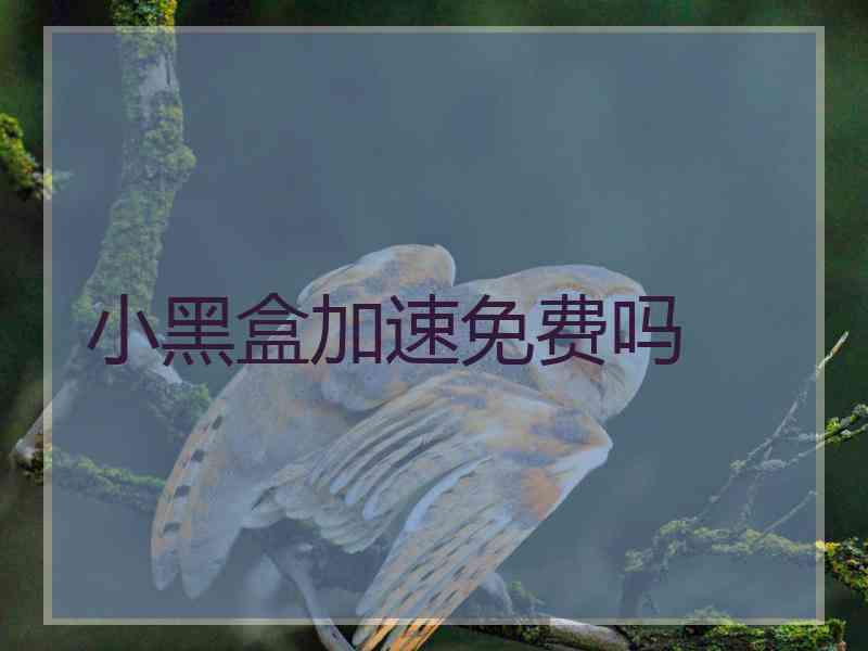 小黑盒加速免费吗