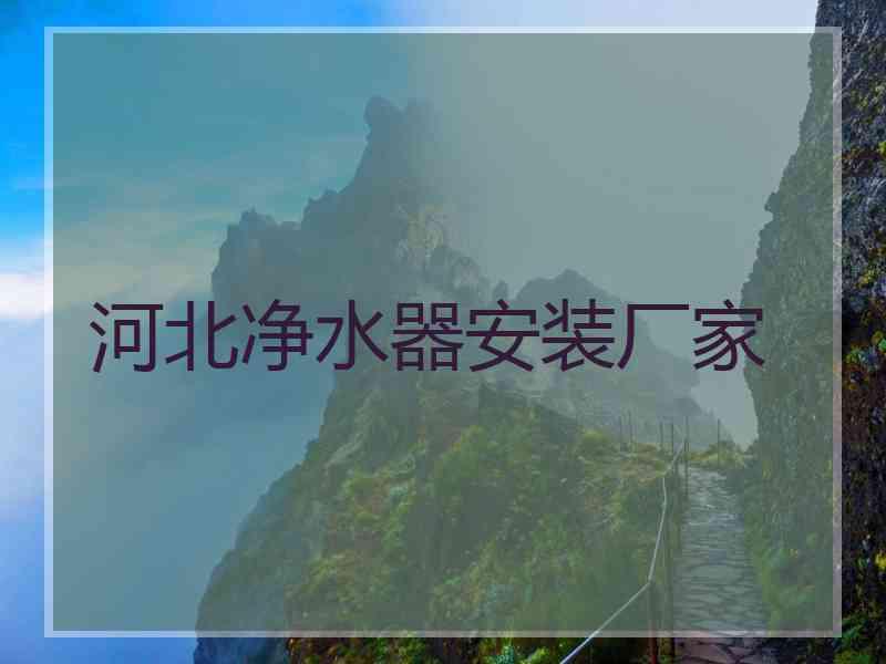 河北净水器安装厂家