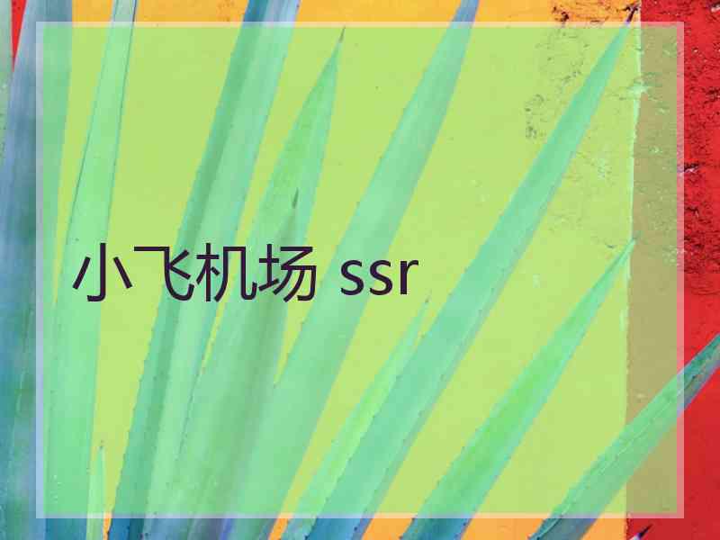 小飞机场 ssr