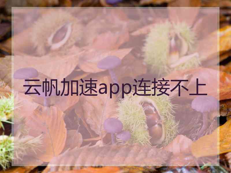 云帆加速app连接不上