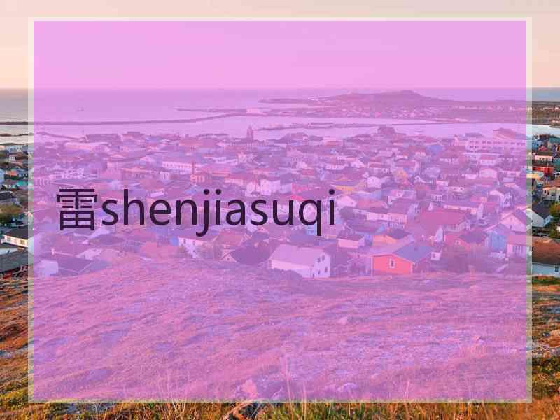 雷shenjiasuqi