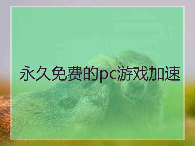 永久免费的pc游戏加速