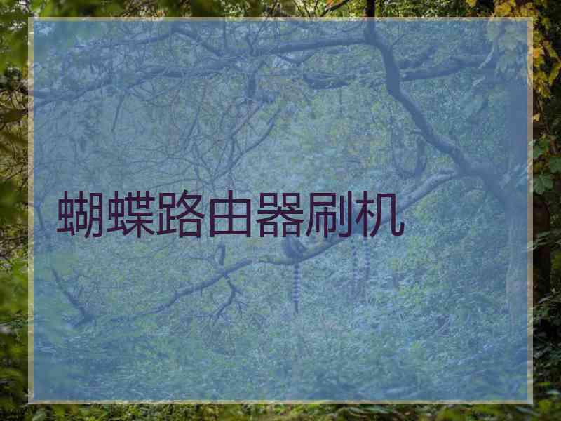 蝴蝶路由器刷机