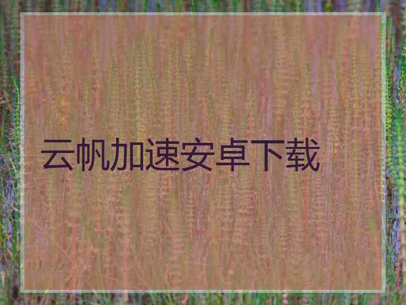 云帆加速安卓下载