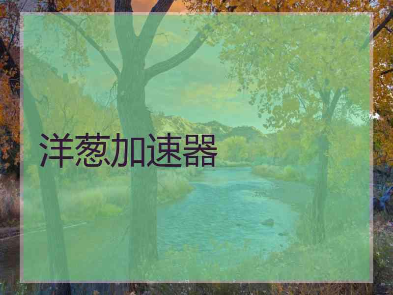 洋葱加速器
