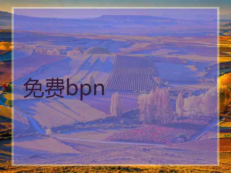 免费bpn