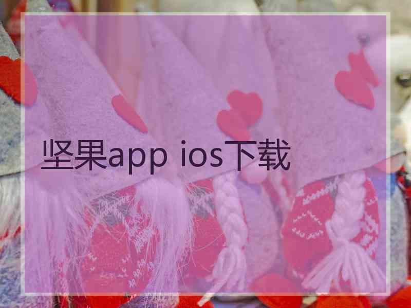 坚果app ios下载