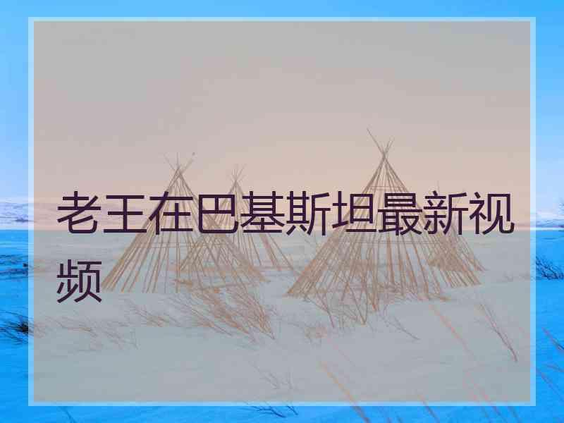 老王在巴基斯坦最新视频