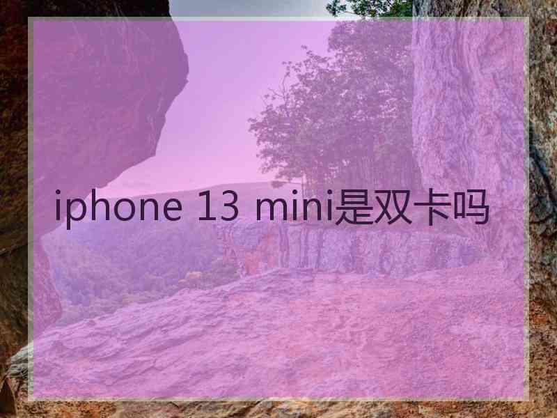 iphone 13 mini是双卡吗