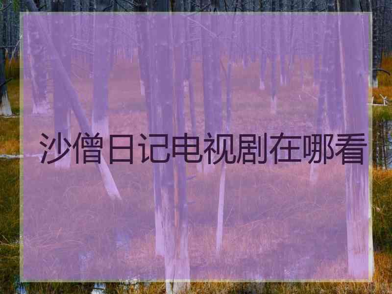 沙僧日记电视剧在哪看