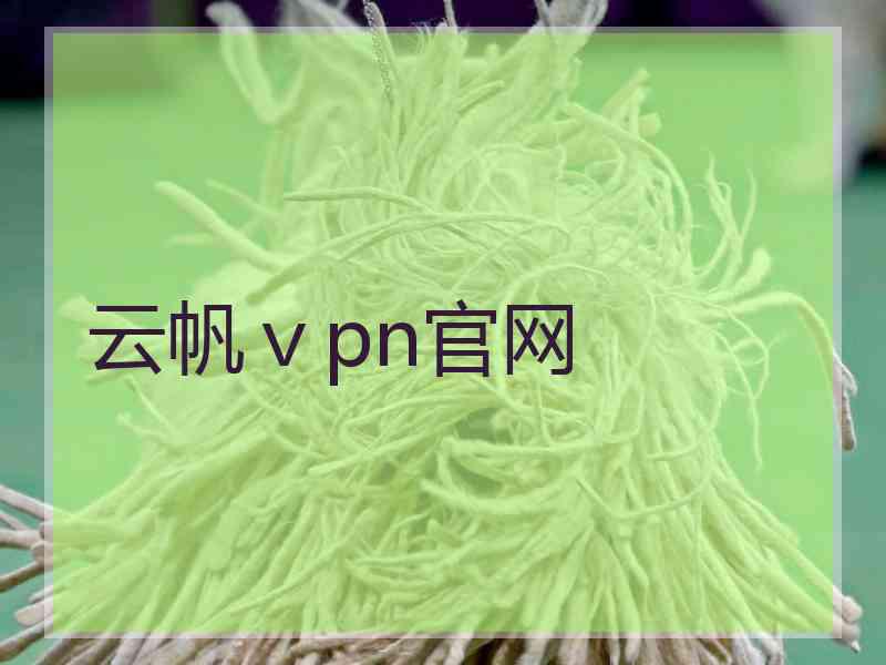 云帆ⅴpn官网
