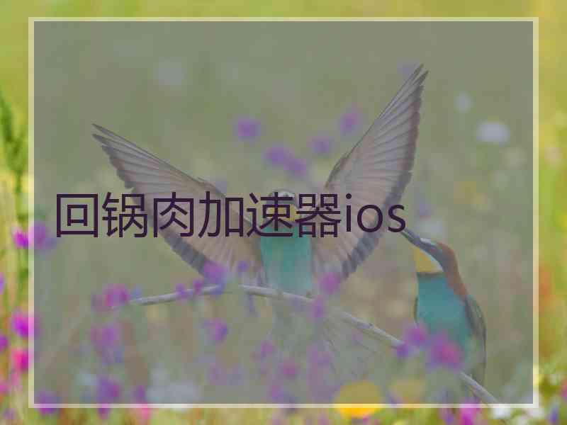 回锅肉加速器ios