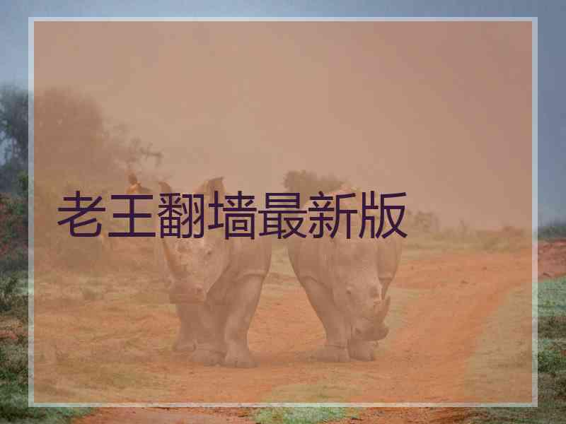 老王翻墙最新版
