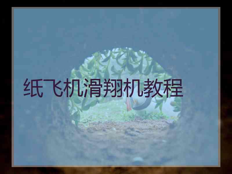 纸飞机滑翔机教程