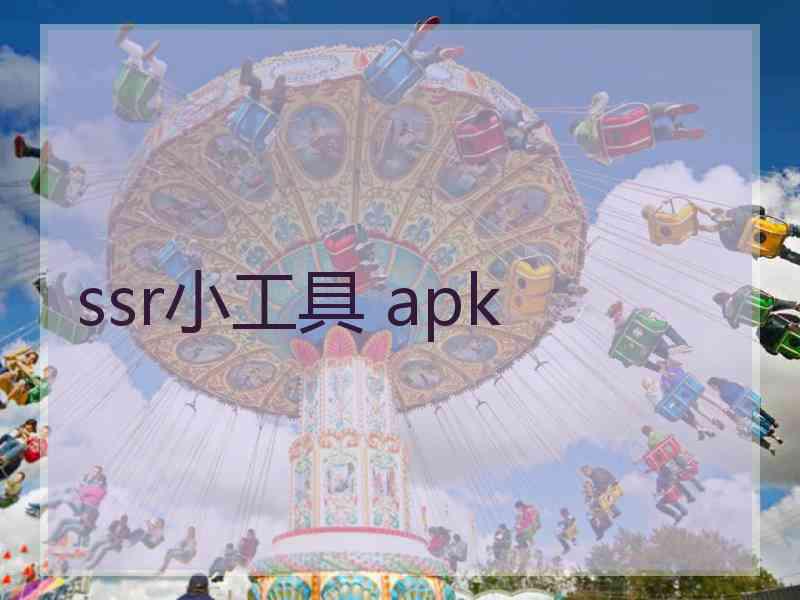 ssr小工具 apk