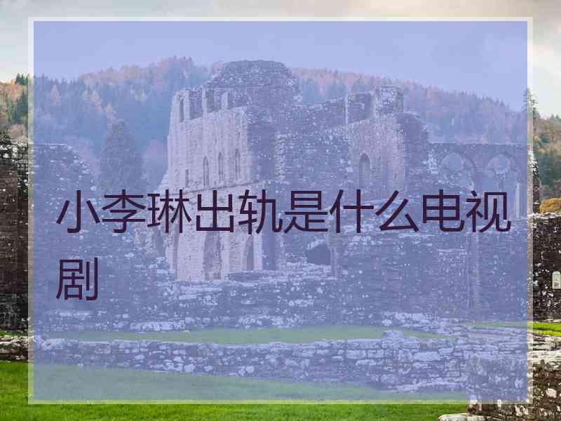 小李琳出轨是什么电视剧