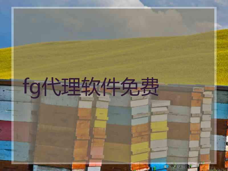 fg代理软件免费