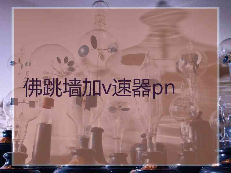 佛跳墙加v速器pn