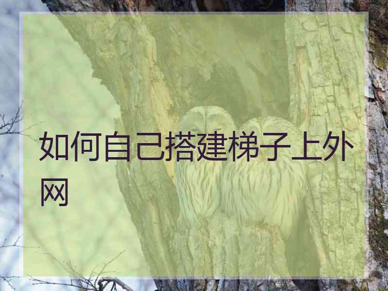 如何自己搭建梯子上外网
