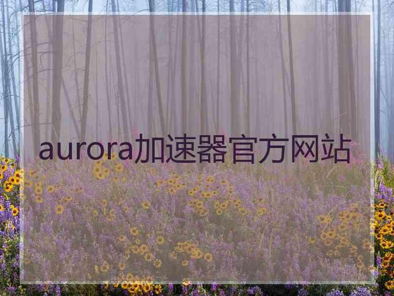 aurora加速器官方网站
