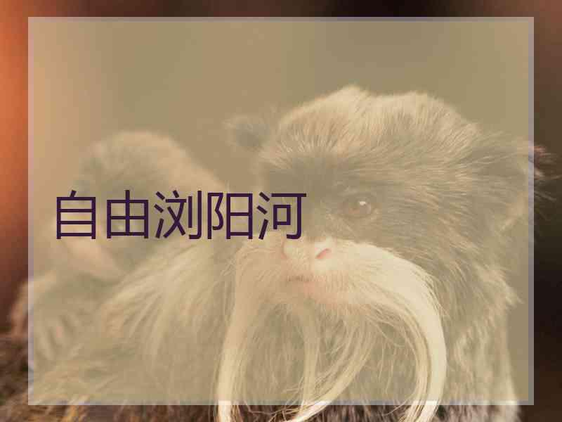 自由浏阳河