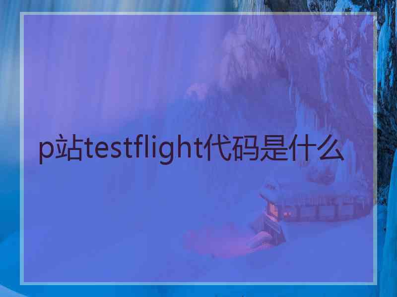 p站testflight代码是什么